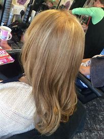 Tone Highlights w/ Blow Dry